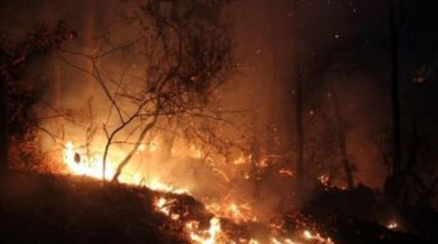Fatsa&rsquo;da Orman Yangını