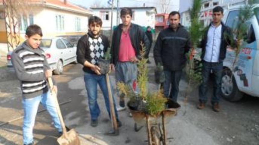 Okul ve Cami &ccedil;evresine k&ouml;y halkı fidan dikti