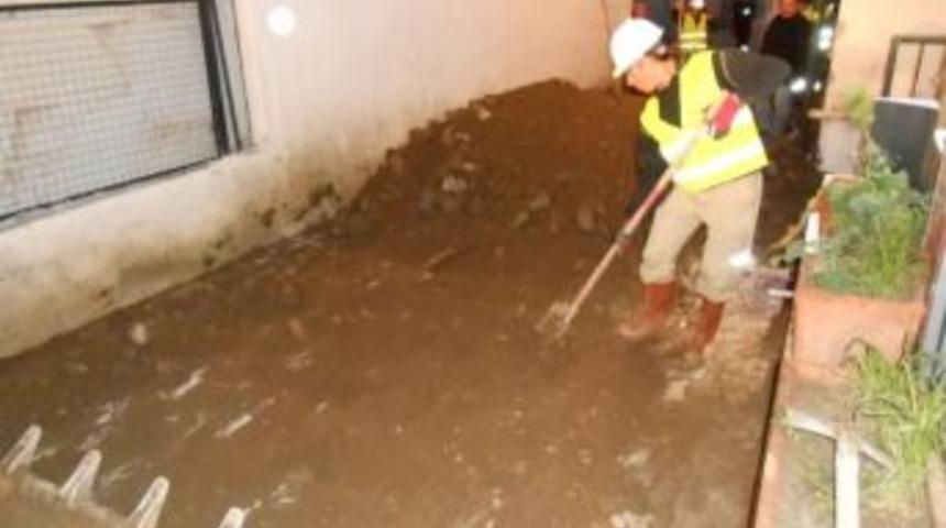 Bodrum Belediyesi Boski &Ccedil;alışmalarını S&uuml;rd&uuml;&uuml;ryor