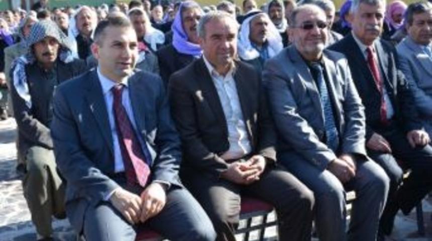 Viranşehir'de İki Aşiret Barıştı, Kan Davası Sona Erdi