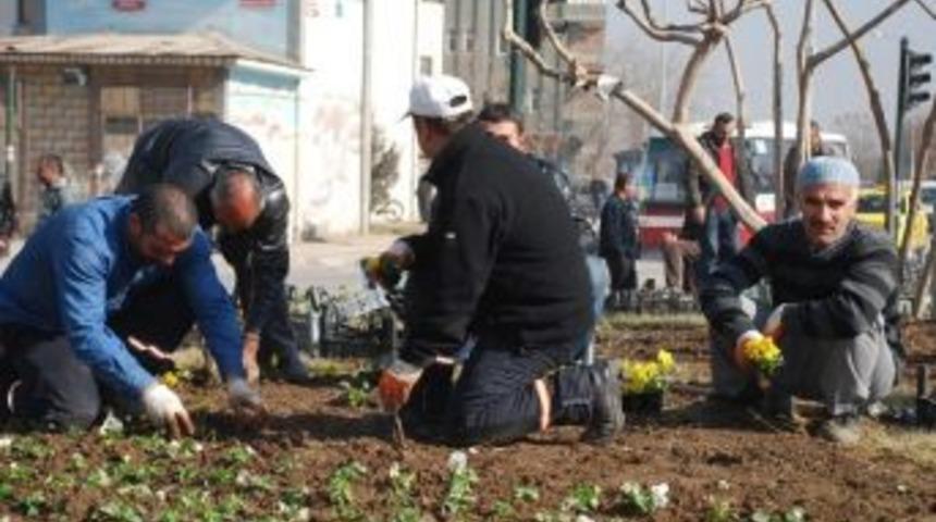 Batman Belediyesi &Uuml;st Yapı &Ccedil;alışmalarına Devam Ediyor