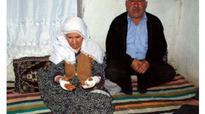 Adıyaman'da Kedi Dehşeti: 3 Yaralı