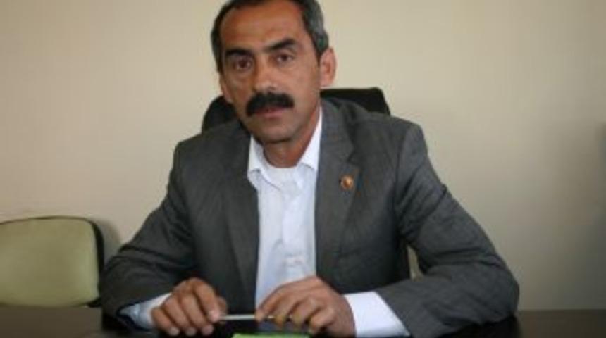 Kuraklığın Fındığa Etkisi