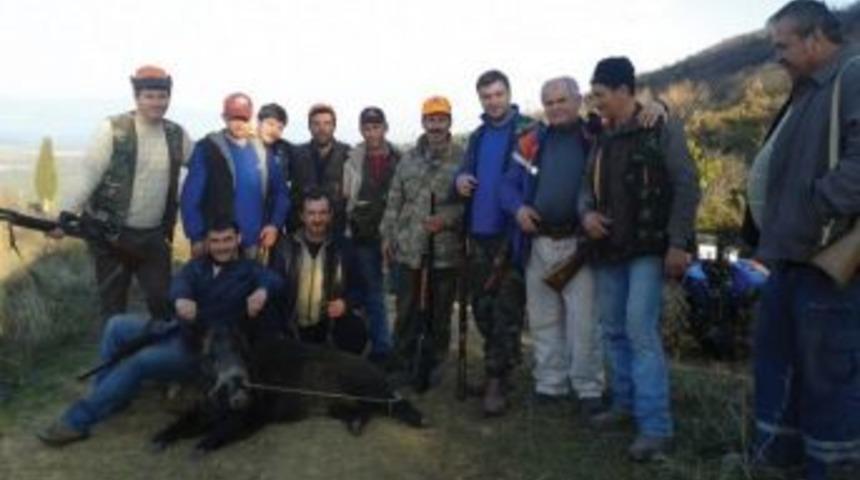 Avcılar 200 Kiloluk Domuz Avladı