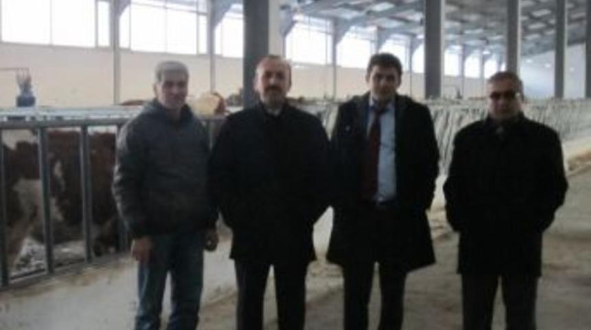 Kars&rsquo;ta Dap Projesi İle İşletmeler Kuruluyor