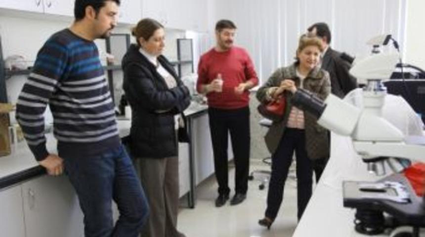 Adh Heyeti As&uuml;btam&rsquo;ı İnceledi