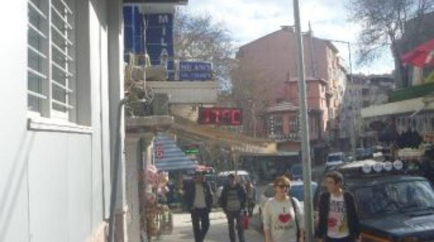 Yalancı Bahara Aldanan Ağa&ccedil;lar &Ccedil;i&ccedil;ek A&ccedil;maya Başladı