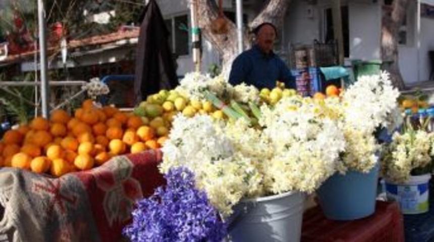 Karaburun'da Nergis Kokuları Pazarı Boyadı!