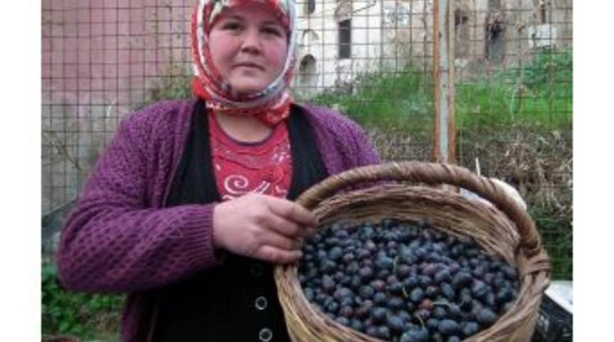 K&ouml;ylerden Gelen Sofralık Zeytine Pazarda Yoğun İlgi