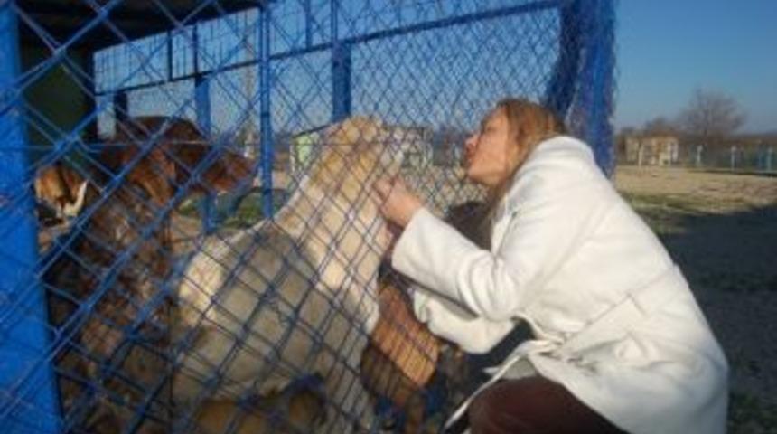 Haytap Yetkililerinden Kılı&ccedil;daroğluna Şikayet Mektubu