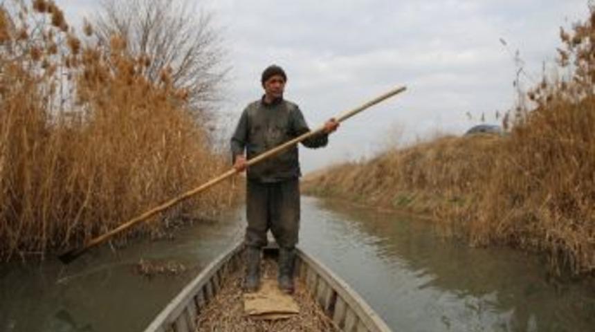 (&ouml;zel Haber) G&ouml;&ccedil;men Kuşlar Evsiz Kaldı