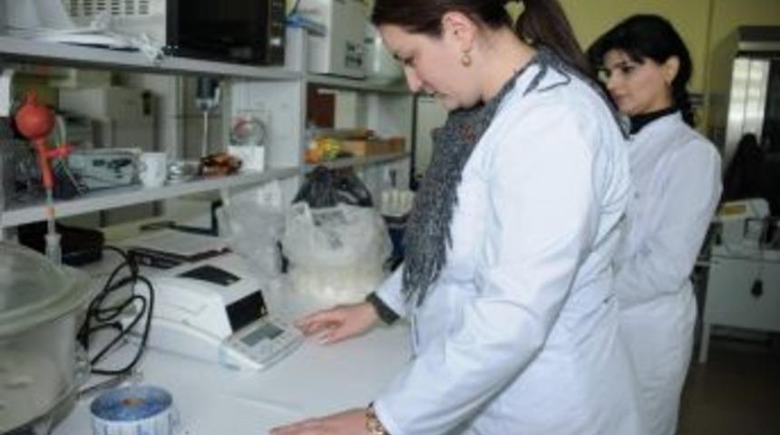 Iğdır &Uuml;niversitesi Komşu &Uuml;lkelerin Akademisyenleri İ&ccedil;in Cazibe Merkezi Oldu