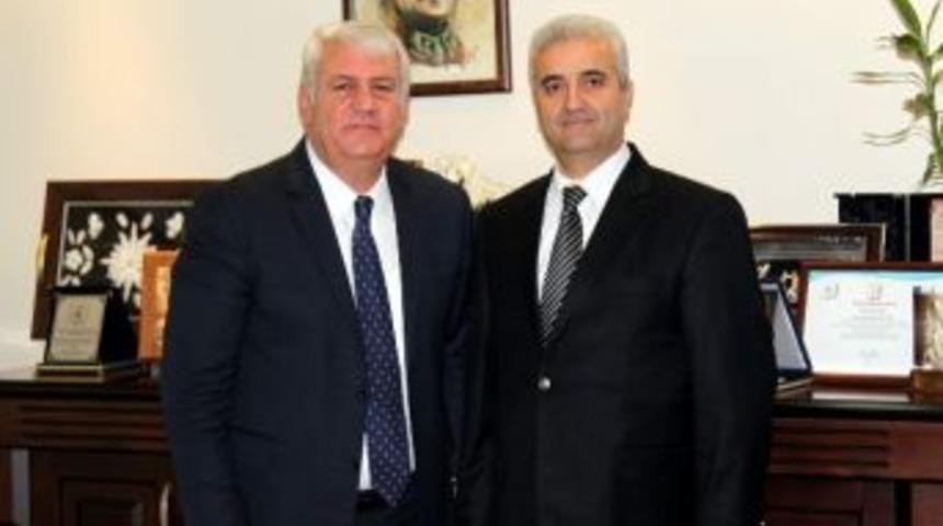 T&uuml;ik-iesob İşbirliiğine Gidiyor