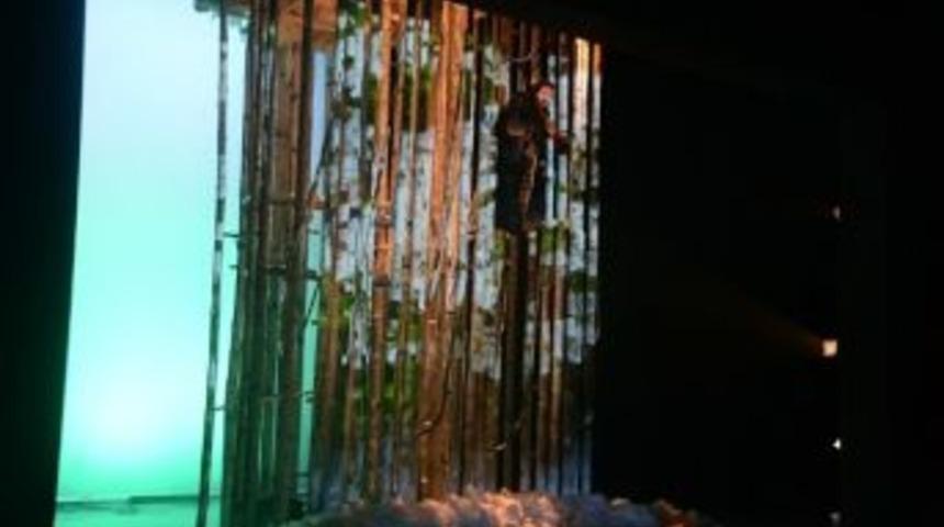 "1 İnsan, 1 Ağa&ccedil;, 1 K&ouml;pek" Oyununun Galası Yapıldı