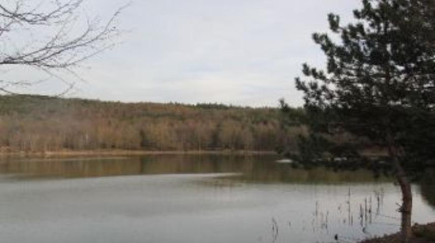 Vali Kurug&ouml;l&rsquo;&uuml; İnceledi