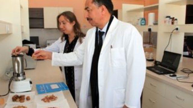 Kmü, Karaman’daki Gıdaların Aflatoksin Değerlerini Araştırdı