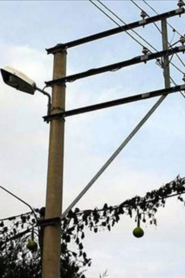 T&uuml;rkiye de yaşanmış en garip &ouml;l&uuml;mler 6