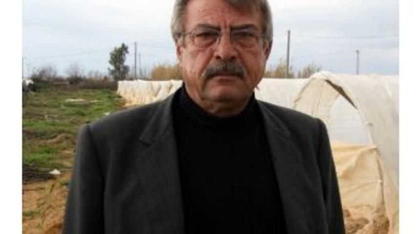 Kış Ortasında &Ccedil;ilek Keyfi