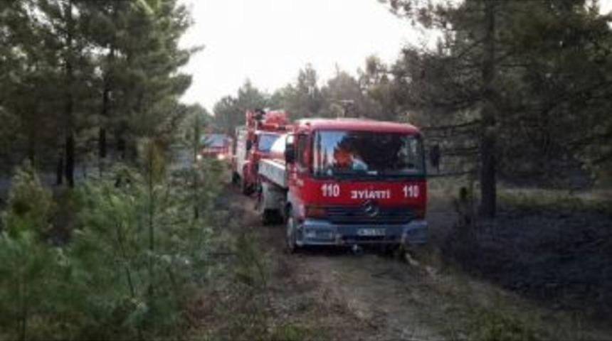 Yalova Esenk&ouml;y'de Orman Yangını