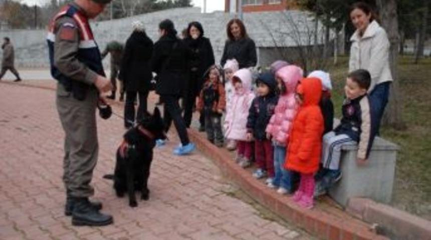 Mak&uuml; Minikleri Jandarma İle Tanıştı
