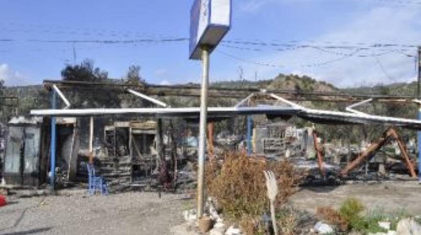 Ayvacık Sahilinde Yangın