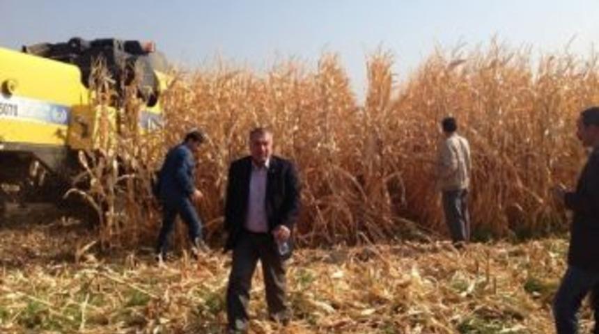 Viranşehir'de Kuraklık Tedirginliği