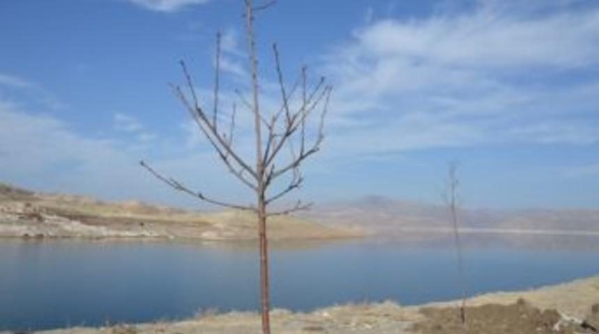 Kocasinan, Sahil Yolunu Ağa&ccedil;landırıyor