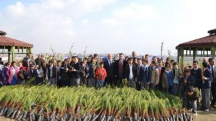 Hilvan'da Okul Bah&ccedil;esine 500 Fidan Dikildi