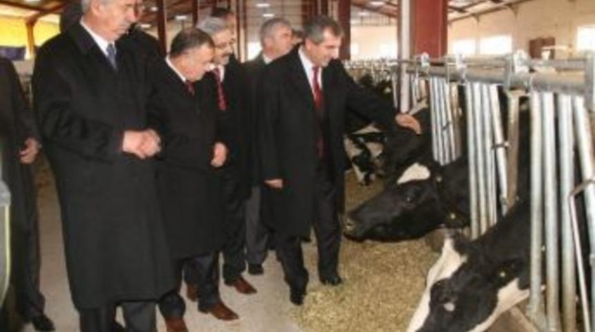 Yozgat Valisi Yazıcı &ldquo;yozgat&rsquo;ta Hayvancılık Kırsal Kalkınma Projeleri İle Gelişiyor&rdquo;