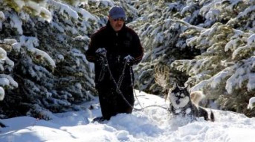 Paland&ouml;ken Ormanları &lsquo;pamuk&rsquo; Ve &lsquo;duman&rsquo; Adlı İki K&ouml;peğe Emanet