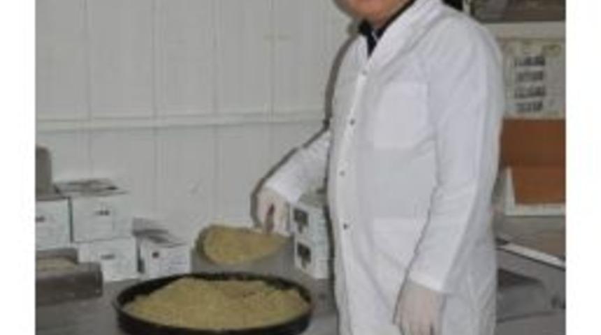 Ege Lokmanı G&uuml;ng&ouml;r'den Acı Ot Tavsiyesi