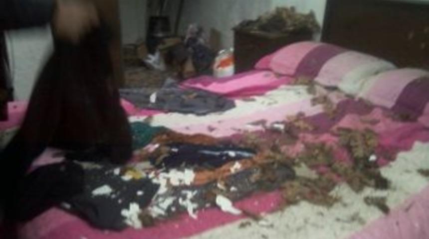 Damdan Yatak Odasına İnek Düştü