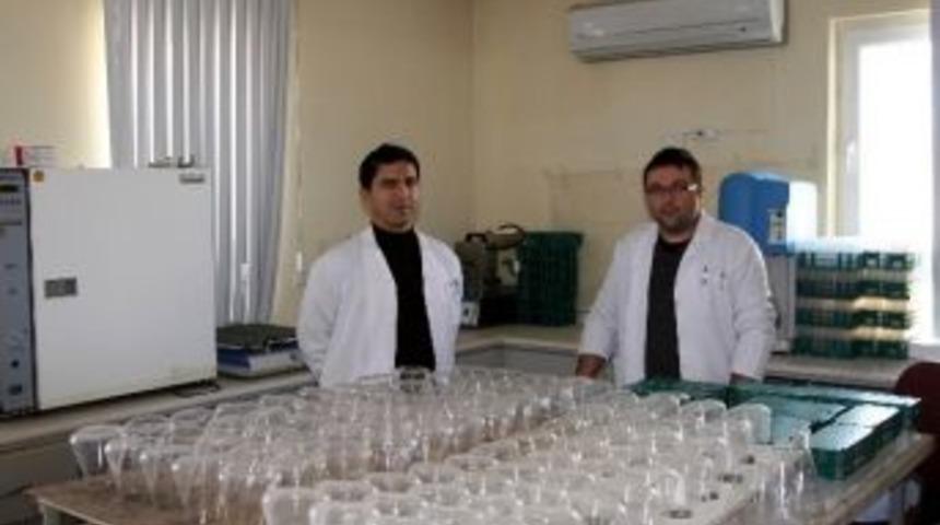 Kulu&rsquo;da 2014 Yılında 24 Bin 400 Toprak Analizi Yapıldı