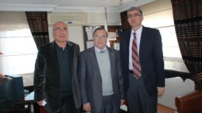 Zeytin Sayesinde Didim İle İspanya Arasında Bağlantı Kurulacak