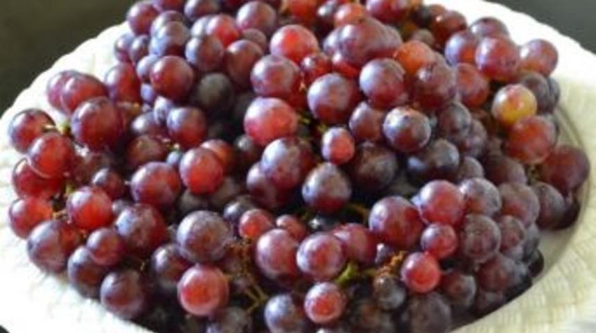 &Ccedil;atak Moru &Uuml;z&uuml;m'&uuml;n Varlığının Korunması İ&ccedil;in &Ccedil;alışma Başlatıldı