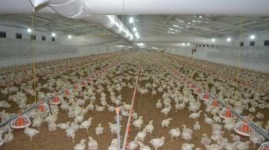 Beylikova&rsquo;ya Yeni Yatırım