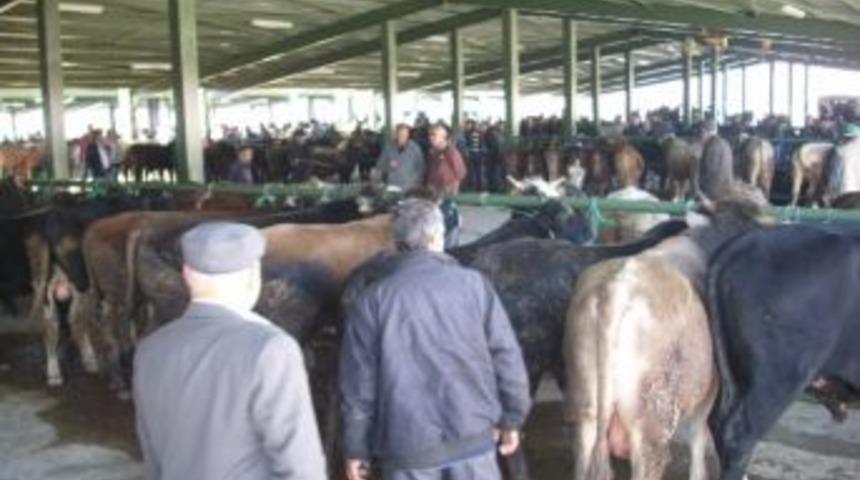 Tavşanlı Hayvan Pazarı Kapatıldı