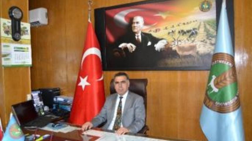 Maviş, Ceylanpınar Tigem&rsquo;e Atandı