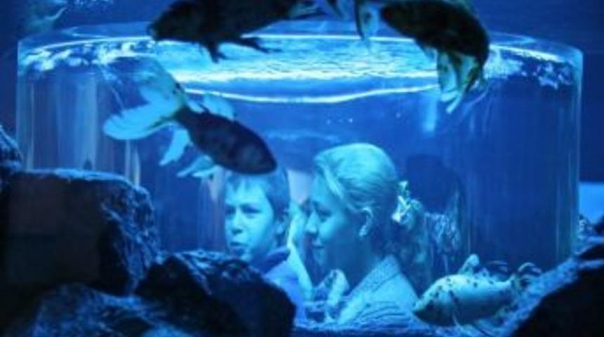 Vatandaşlar Sualtı D&uuml;nyasına Akın Etti