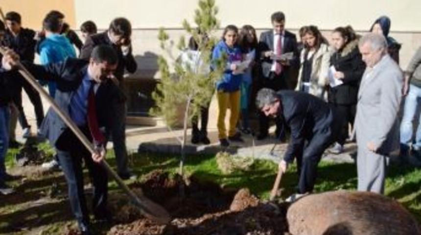 İlci, Hem Karne Dağıttı Hem De Fidan Dikti