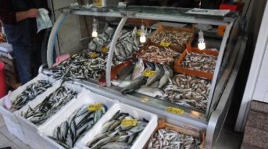 Balık Fiyatları El Yakıyor