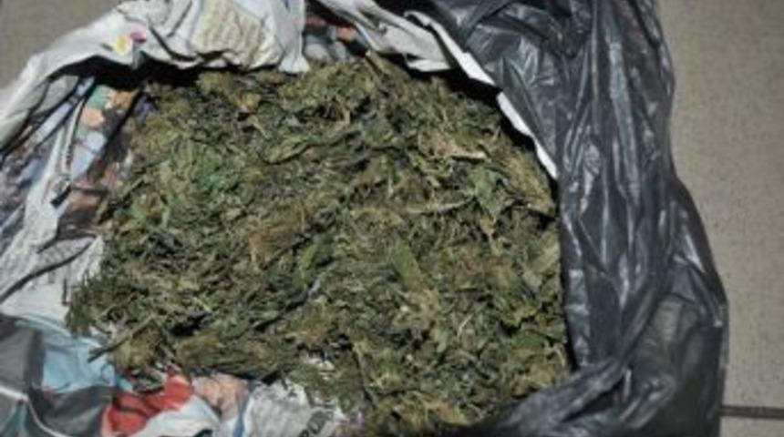 Jandarmadan Uyuşturucuyla Mücadele