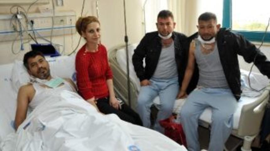 &Ccedil;apraz B&ouml;brek Nakliyle Sağlıklarına Kavuştular