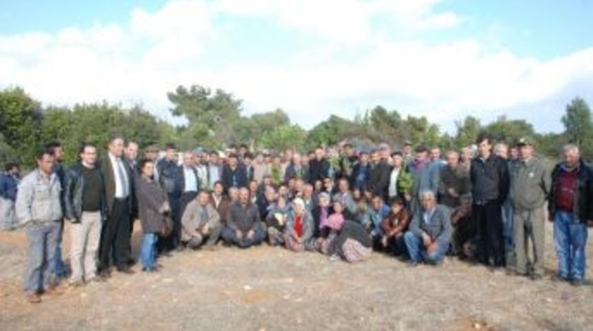 Defne Değil, Define