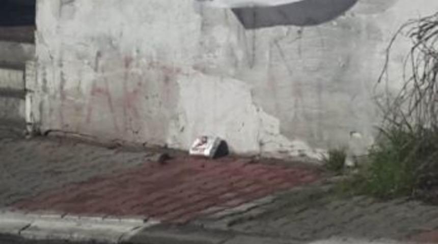 Bomba S&uuml;s&uuml; Verilen Paketten Tuğla &Ccedil;ıktı