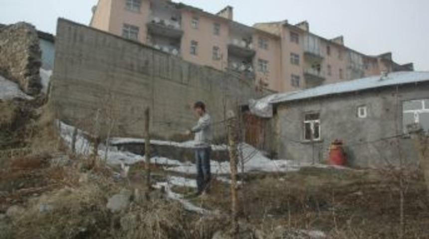 Kanalizasyon Fareleri Evleri Bastı