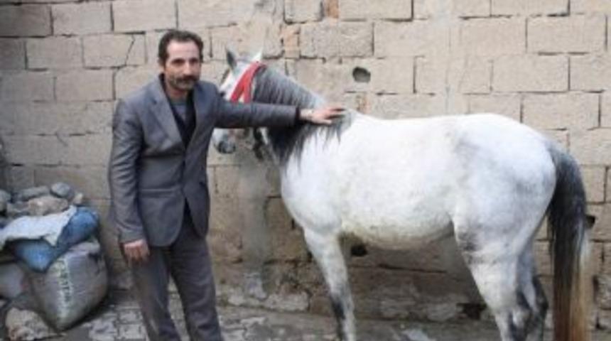 Valilikten Yoksul Vatandaşa At Desteği