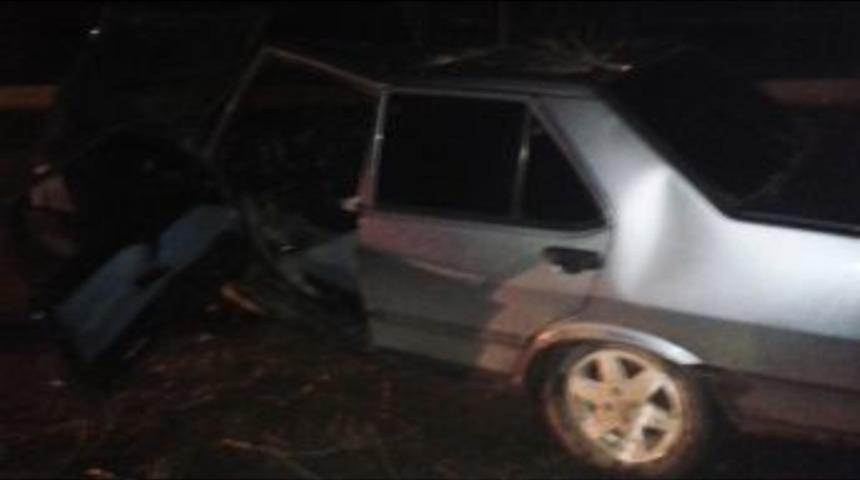 Edirne'de Otomobil Ağaca &Ccedil;arptı: 3 Yaralı