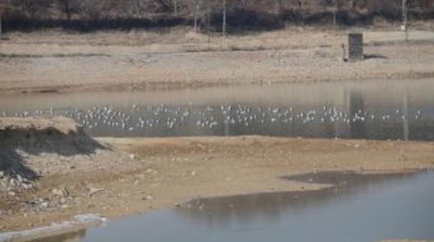 Orduzu G&ouml;leti&rsquo;nde Su Seviyesi D&uuml;şt&uuml;