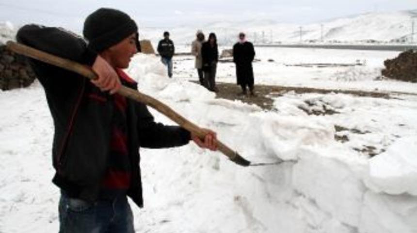 Kardan Duvarlarla Koyunları Koruyorlar